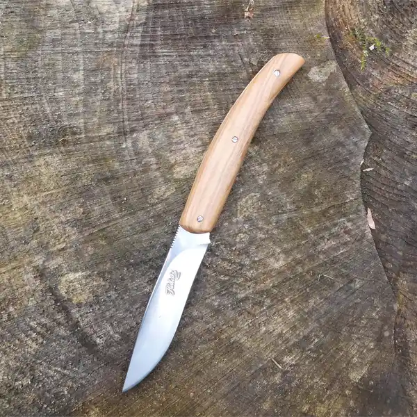 Bild 4 von TASCHENMESSER SAINT - Klappmesser