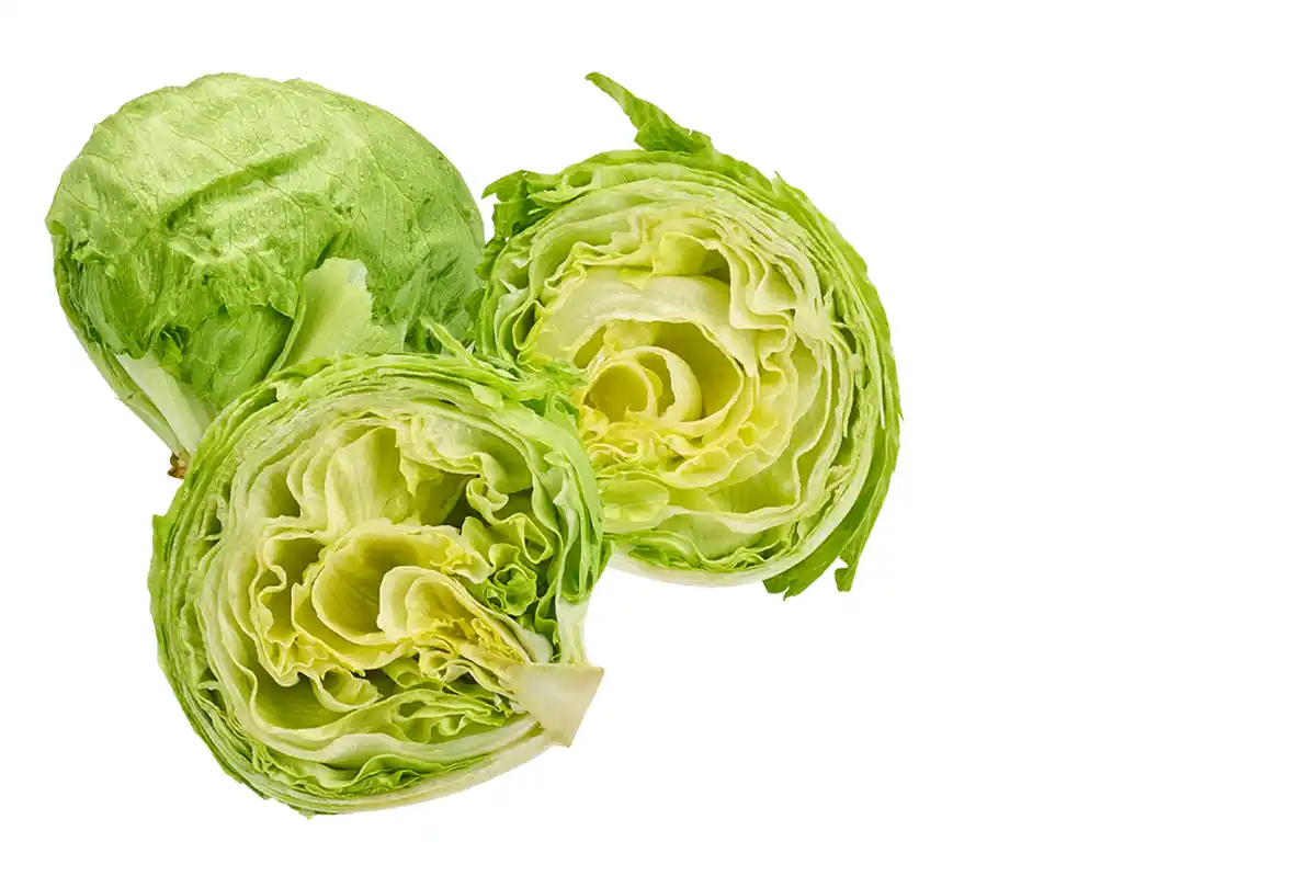 Bild 1 von Eisbergsalat