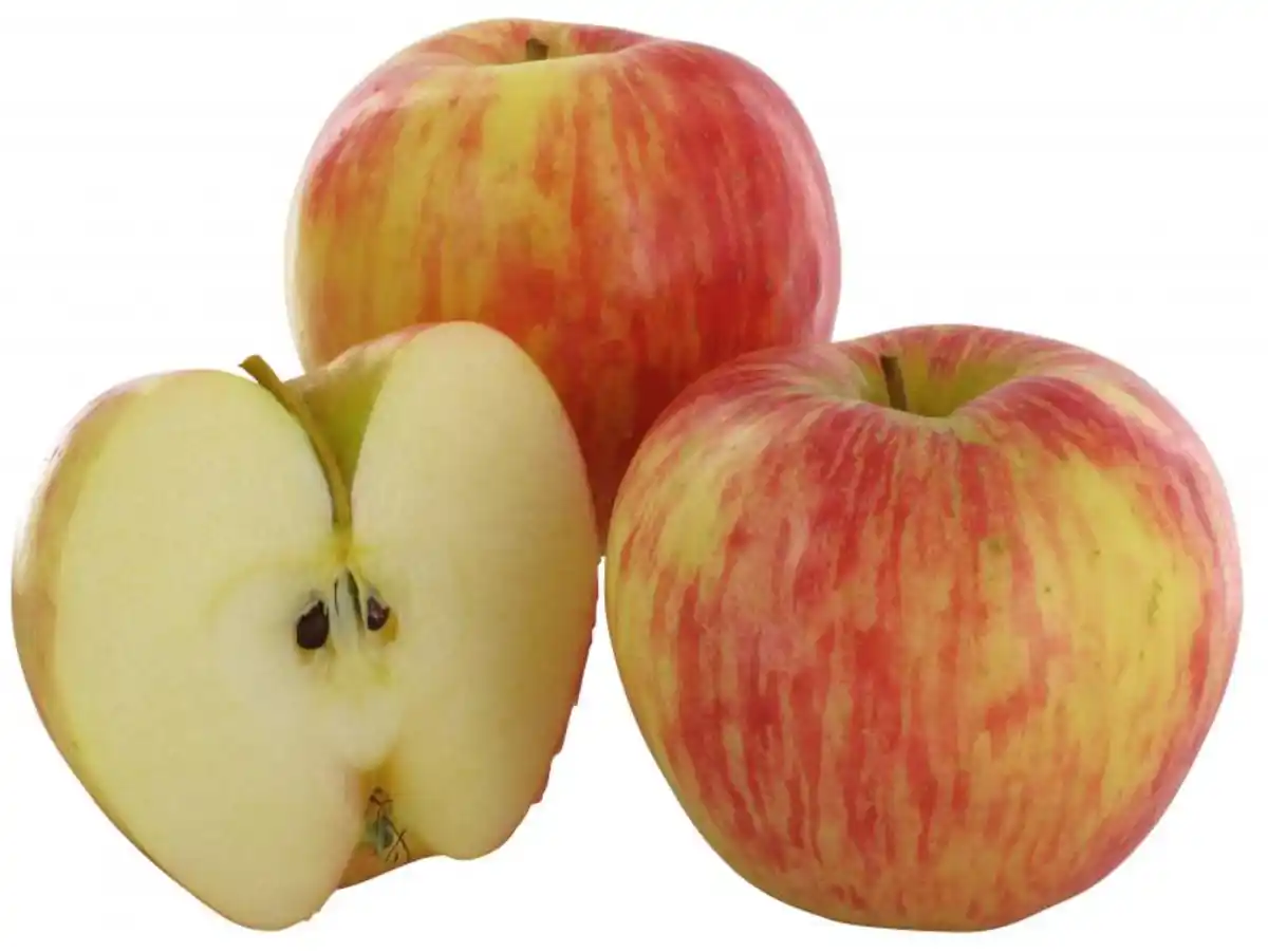 Bild 1 von Apfel Honey Crunch