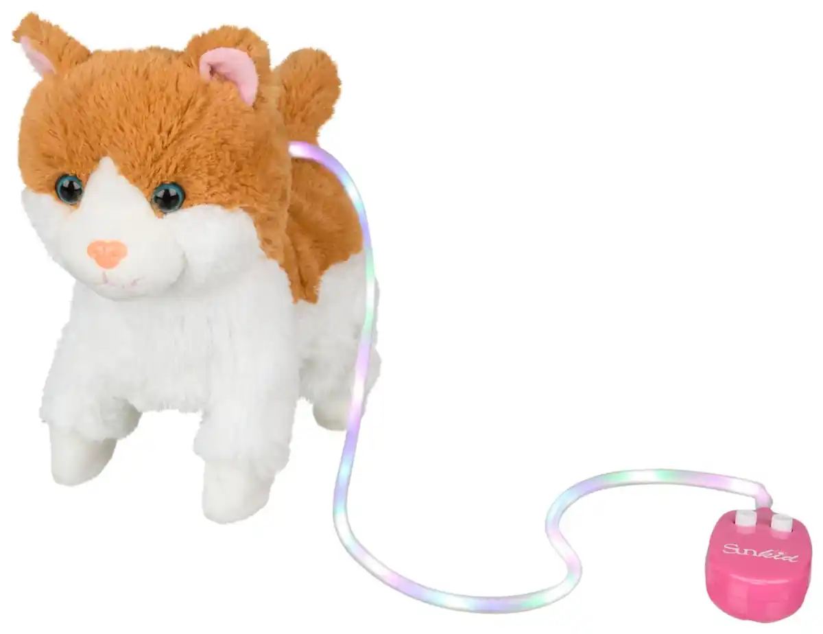 Bild 1 von Katze mit Leine