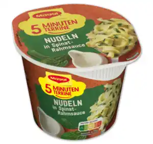 MAGGI 5 Minuten Terrine