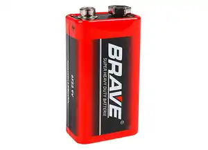 BRAVE Batterien 2x9V 6F22