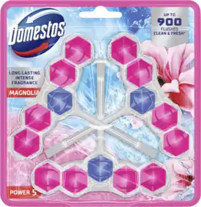 Domestos Power 5 WC-Stein Magnolie, 150 g