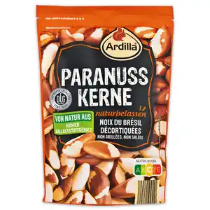 Ardilla Paranuss Kerne