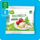 Bild 1 von GUT BIO Bio-Naturland-Mozzarella, Aus Kuhmilch