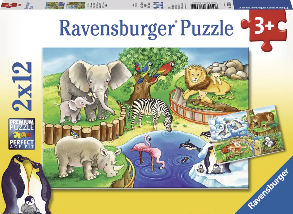 Bild 1 von Ravensburger Serie Nr. 2 generische Kipu (2x12-3x49)