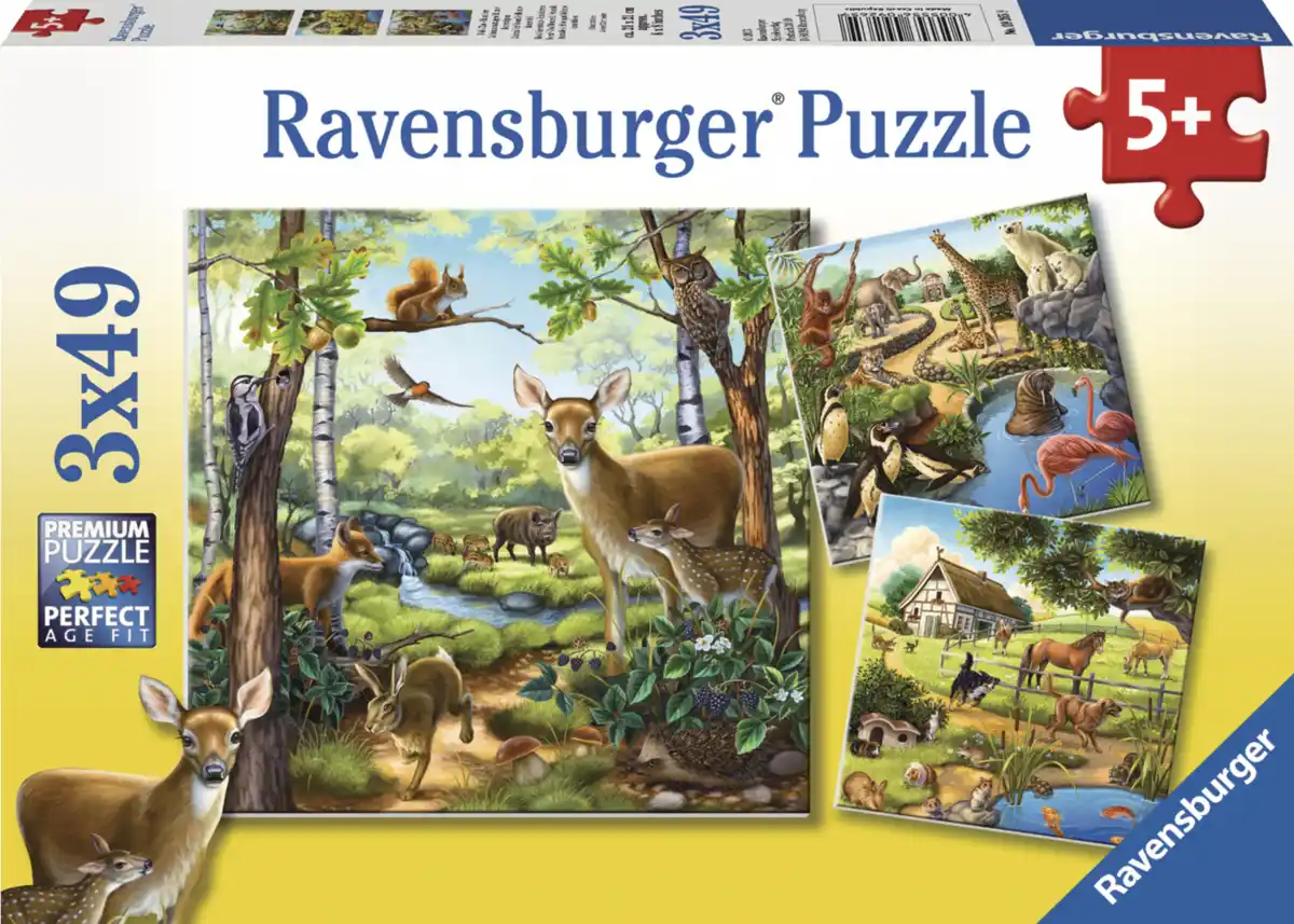 Bild 2 von Ravensburger Serie Nr. 2 generische Kipu (2x12-3x49)