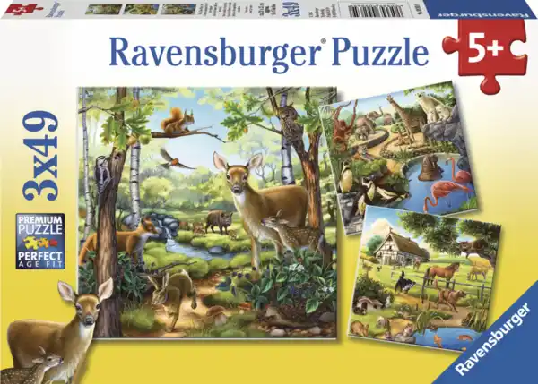 Bild 2 von Ravensburger Serie Nr. 2 generische Kipu (2x12-3x49)