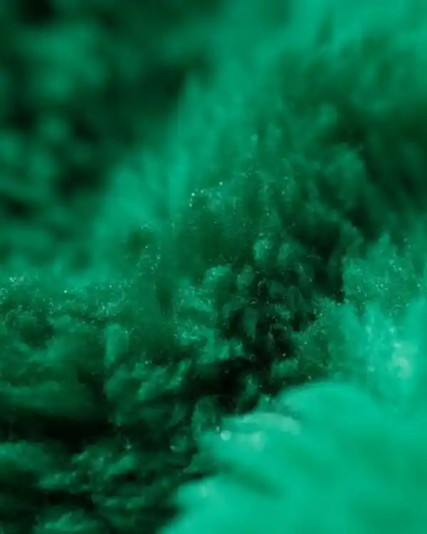 Bild 2 von Damen-Snuggie War Child grün