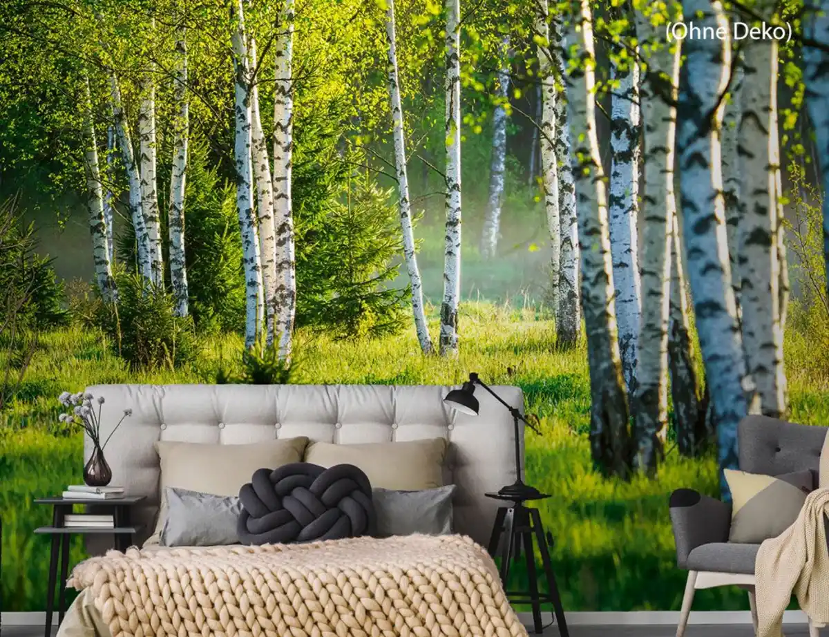 Bild 3 von Fototapete Vlies Birkenwald