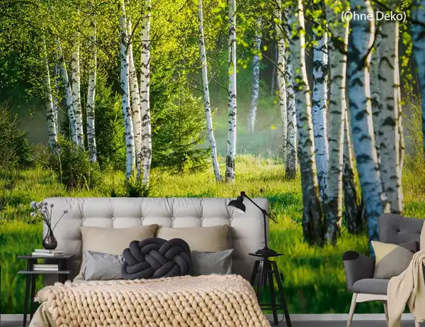 Bild 3 von Fototapete Vlies Birkenwald