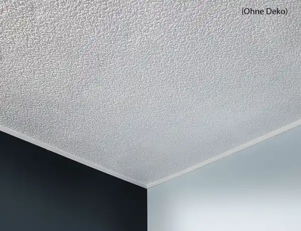 Bild 2 von Deckenplatte AP 101