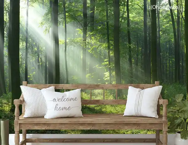 Bild 3 von Fototapete Vlies Waldlichtung