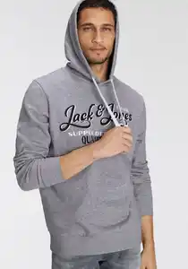 Jack & Jones Kapuzensweatshirt JJ JJANDY SWEAT HOOD, Grau