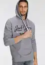 Bild 1 von Jack & Jones Kapuzensweatshirt JJ JJANDY SWEAT HOOD, Grau