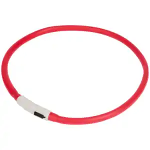 Aufladbares LED-Halsband