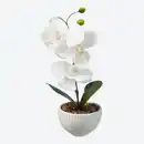 Bild 1 von Deko-Kunstblume "Orchidee" im Topf, ca. 9x9x22cm, White