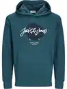 Bild 1 von Jack&Jones JJTILEY SWEAT HOOD LN Hoodie Grün