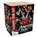 Bild 1 von Feuerwerksbatterie „Angry Oryx“ mit 25 Schuss