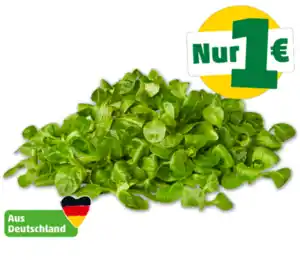 MARKTLIEBE Deutscher Feldsalat