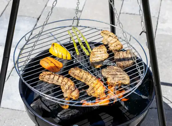 Bild 3 von Schwenkgrill Indiana