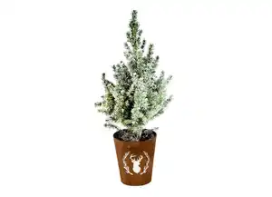 Picea Conica 13cm-Topf mit Schnee