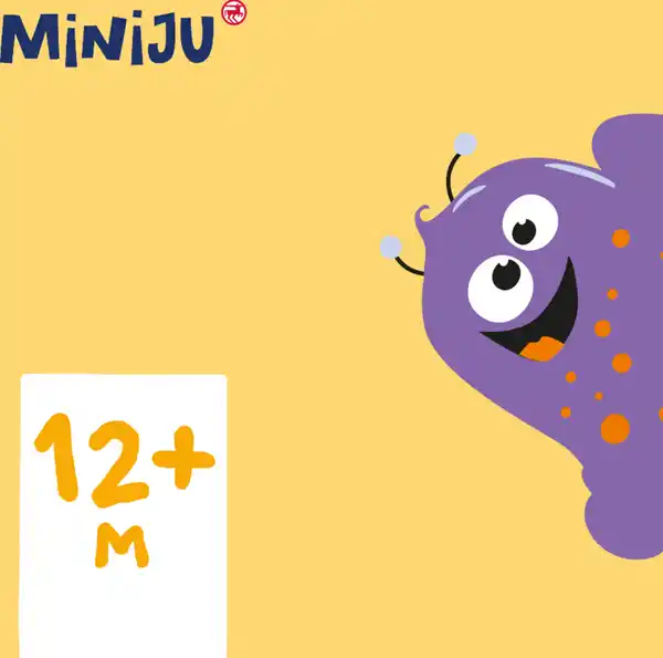 Bild 3 von Miniju Formen-Sortier-Würfel