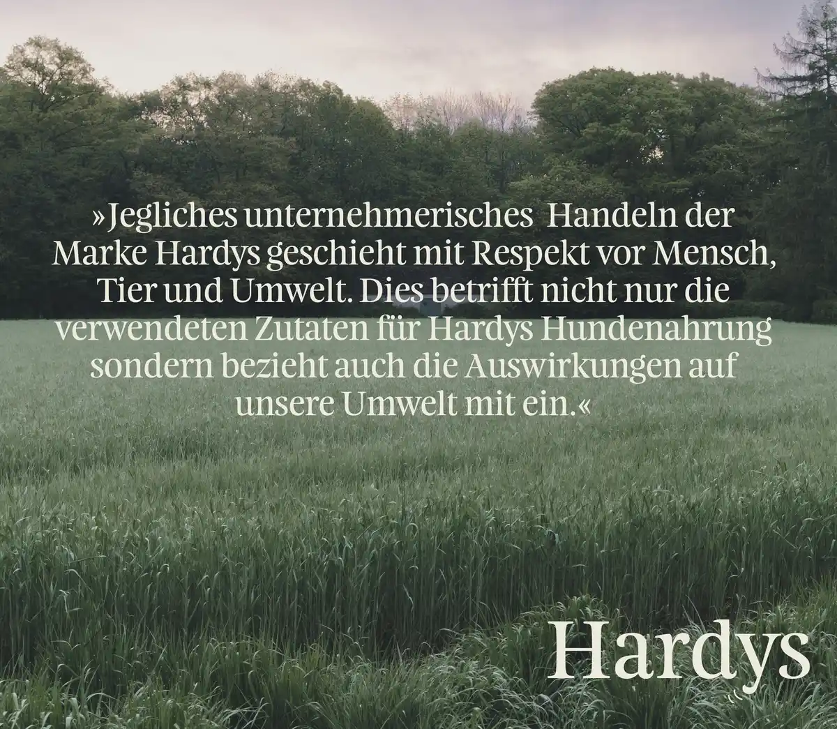 Bild 3 von HARDYS Manufaktur Pur Nassfutter Lamm, 400 g