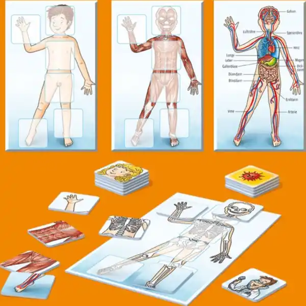 Bild 3 von Kosmos WAS IST WAS Junior - Mein Körper