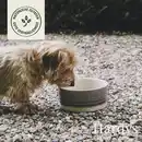 Bild 4 von HARDYS Manufaktur Pur Nassfutter Lamm, 400 g