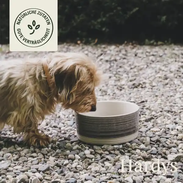 Bild 4 von HARDYS Manufaktur Pur Nassfutter Lamm, 400 g