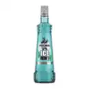 Bild 1 von PUSCHKIN Ice Mint 0,7L