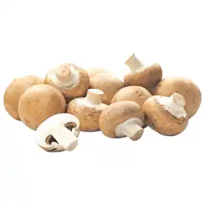 Braune Champignons