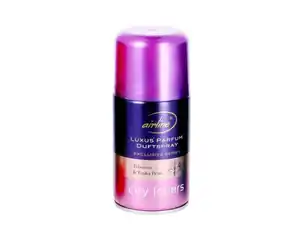 Airline Automatik Raumspray City Lovers 250 ml