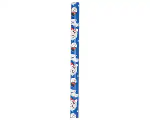 Geschenkpapier B 2x0,7m Disney 6f