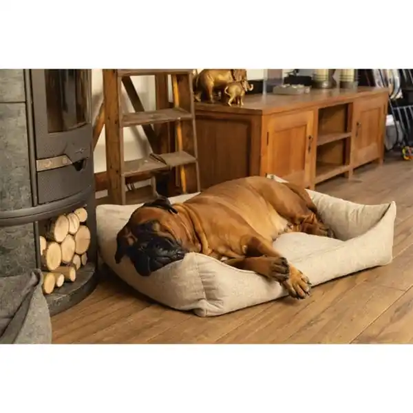 Bild 3 von Beeztees orthopädisches Hundebett Zia Beige 100x80cm