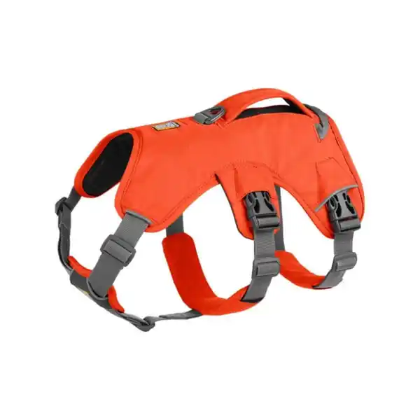 Bild 1 von Ruffwear Geschirr Web Master Blaze Orange Small