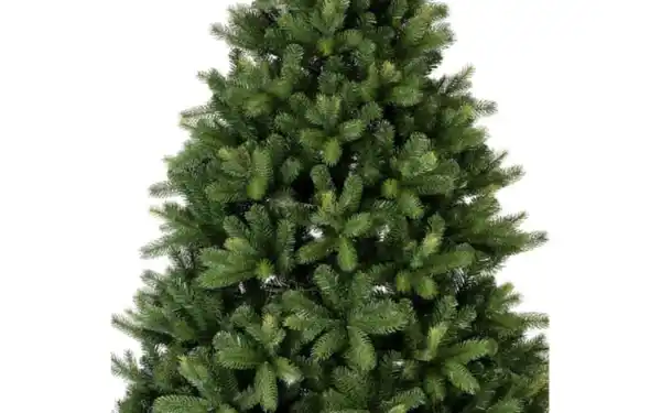 Bild 3 von Tannenbaum Freiburg, grün, 150 cm