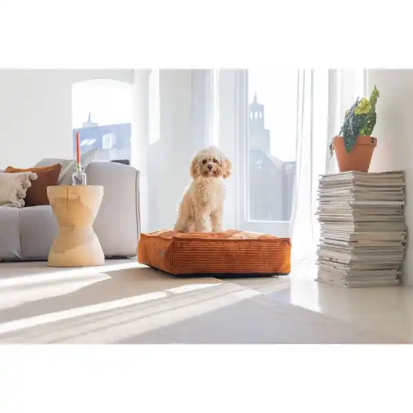 Bild 3 von Designed by Lotte Hundekissen Ribbed Terrakotta 70x55x15cm