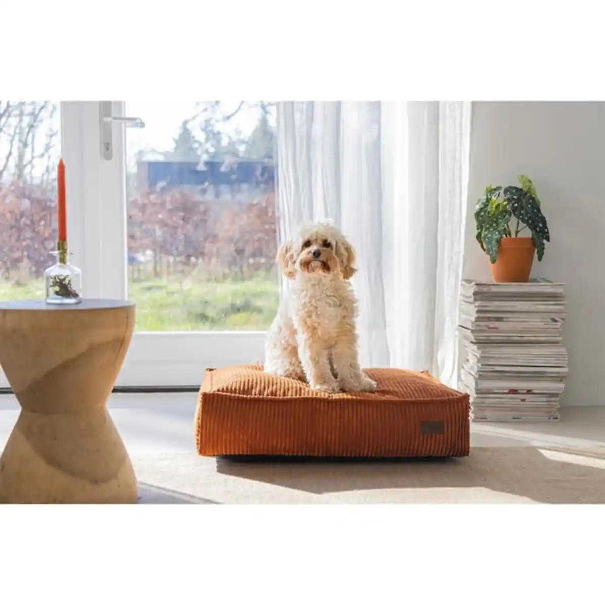 Bild 2 von Designed by Lotte Hundekissen Ribbed Terrakotta 70x55x15cm