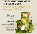 Bild 3 von Mexx Woman, EdT 40 ml