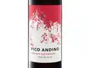 Bild 2 von Pico Andino Cabernet Sauvignon Chile, Rotwein 2022