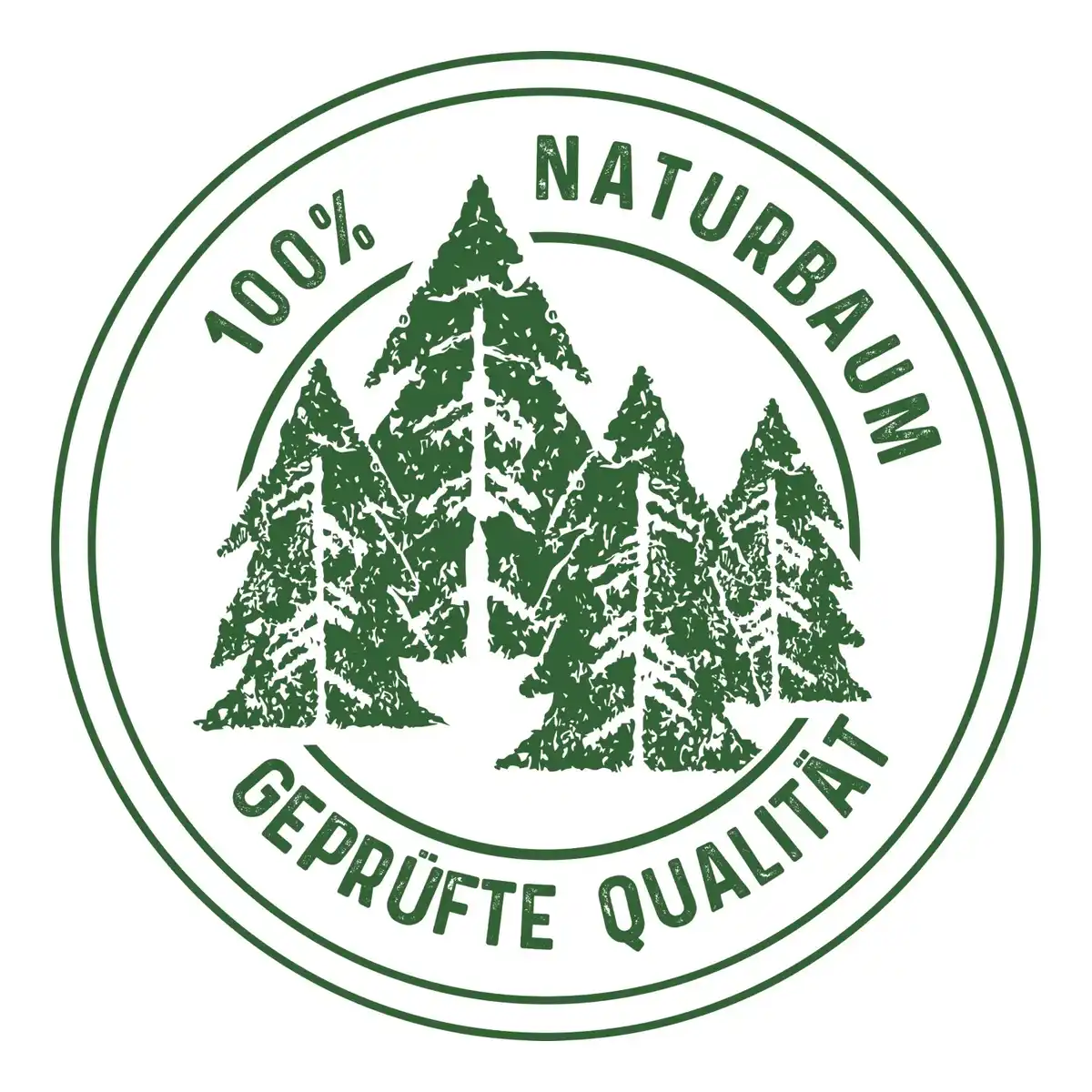 Bild 2 von Weihnachtsbaum Echte Nordmanntanne 200 - 250 cm hoch gesägt