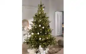 Tannenbaum Grandis, grün, inkl.Micro-LED-Beleuchtung, 180 cm