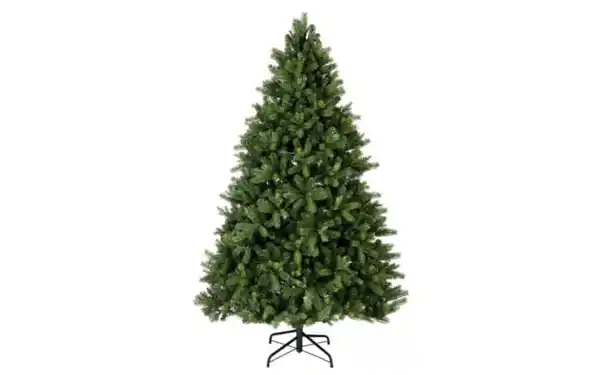 Bild 2 von Tannenbaum Freiburg, grün, 180 cm