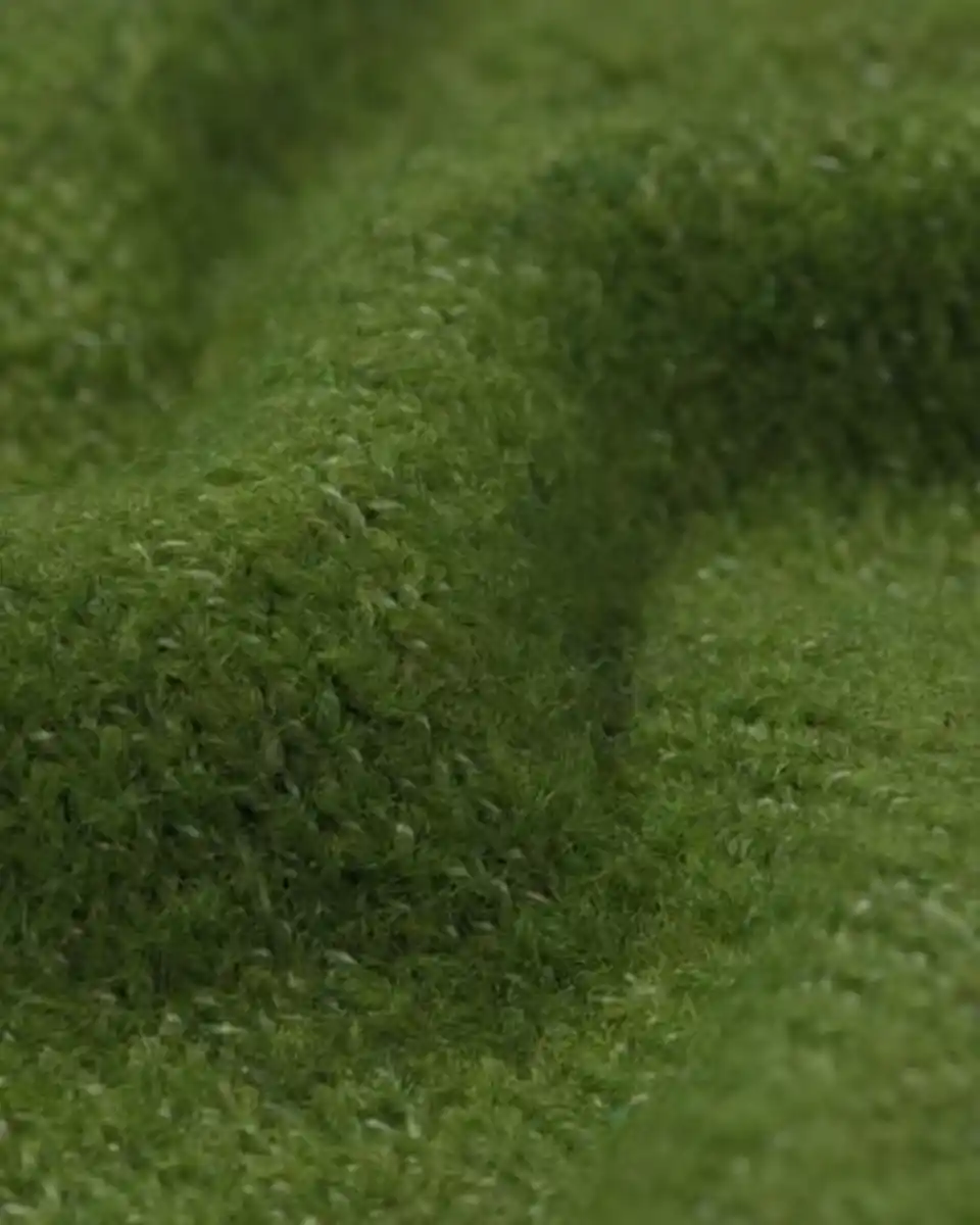 Bild 2 von Damenjacke Lana Strick dunkelgrün