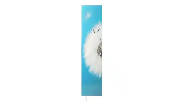 Bild 3 von Mehrzweckschrank Pictura