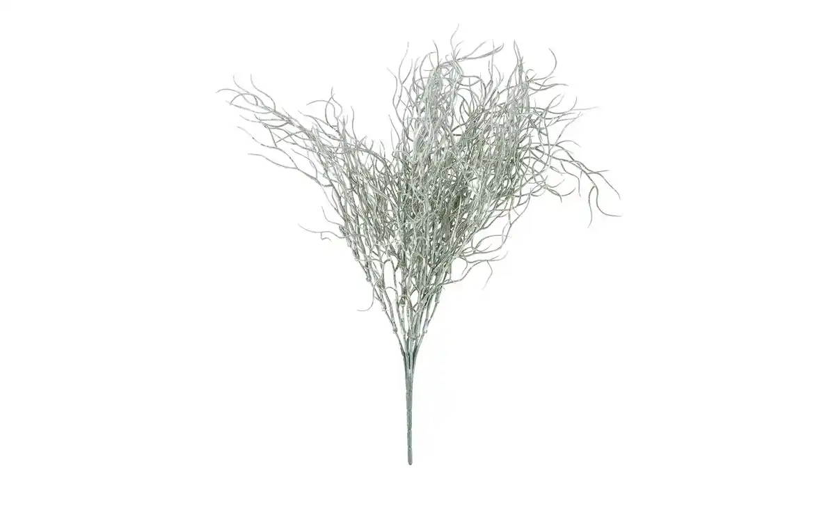 Bild 1 von Grasbüschel
