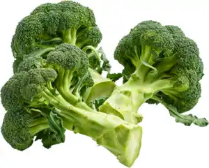 Broccoli