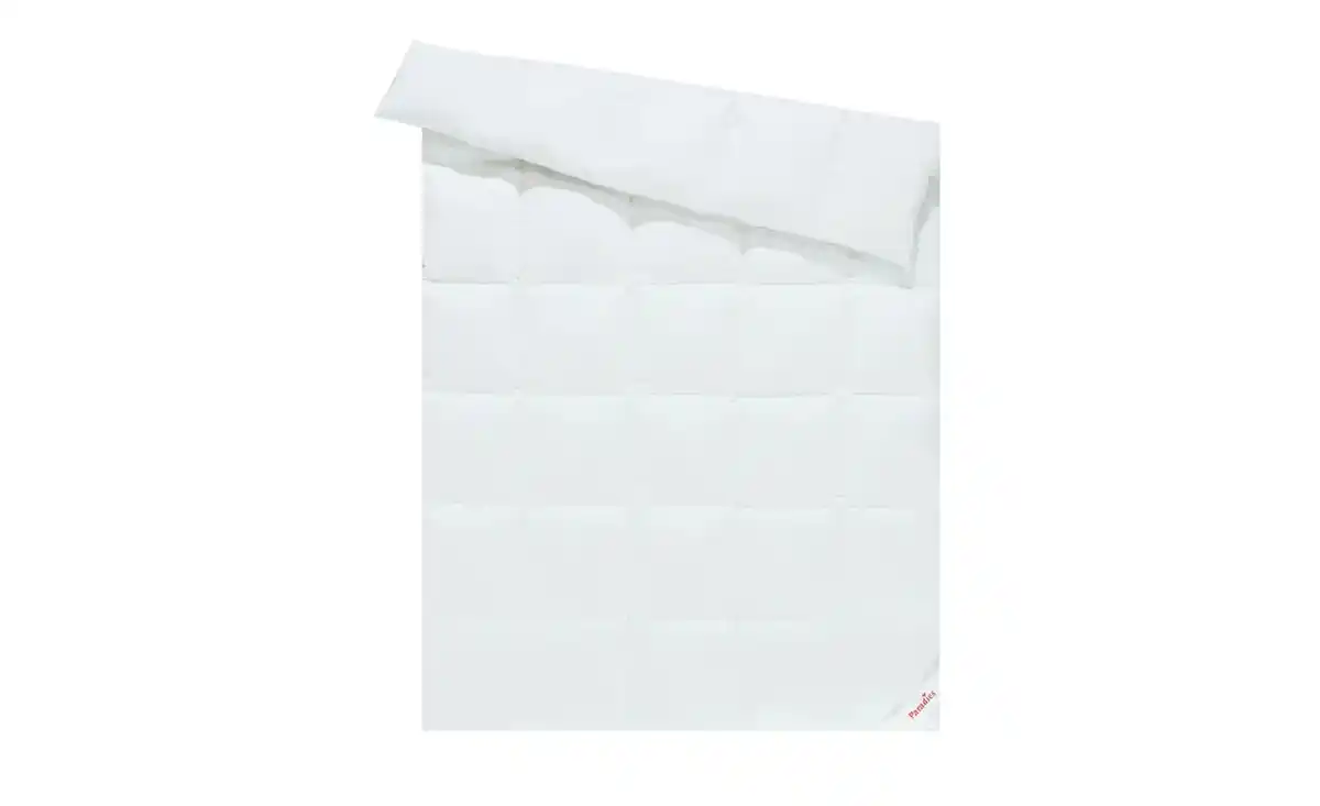 Bild 3 von Paradies Daunenbett Rabea